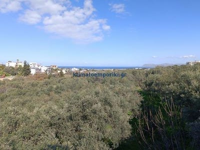 /international/gr/chania-crete-310101996821/