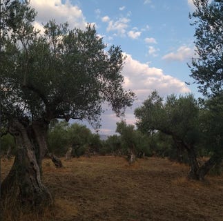/international/gr/kallirroi-kallirroi-thessaly-and-central-greece-310101227972/?lang=id