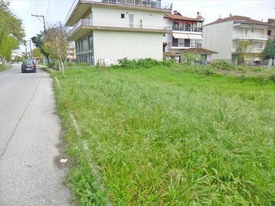 /international/gr/pieria-prefecture-makedonia-thrace-310103785456/