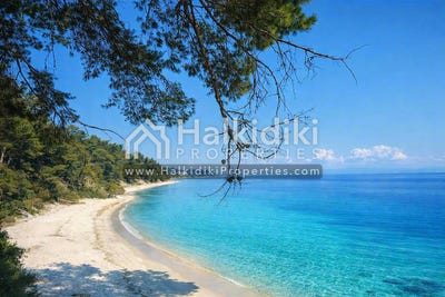 /international/gr/kallithea-attica-310108870646/?lang=pt