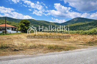 /international/gr/megali-panagia-macedonia-thrace-310108870790/