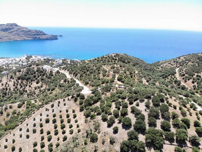 /international/gr/sellia-crete-310106799550/