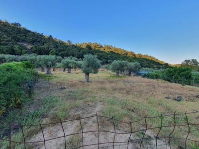 /international/gr/thasos-makedonia-thrace-120086265517/