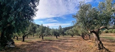 /international/gr/peloponnese-western-greece-and-ionian-310108453427/