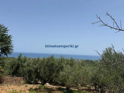/international/gr/platania-macedonia-thrace-310109640961/