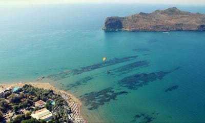 /international/gr/platanias-crete-310119573221/