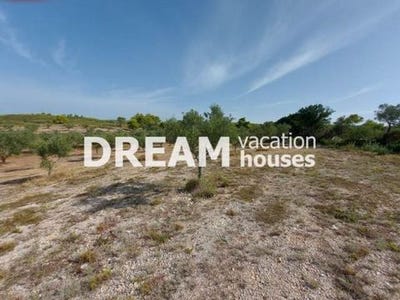 /international/gr/zakinthos-nisos-ionioi-nisoi-120094598428/