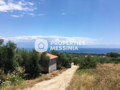 /international/gr/agios-andreas-peloponnese-western-greece-and-ionian-310106289776/