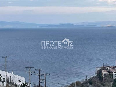 /international/gr/rafina-attica-310108316818/