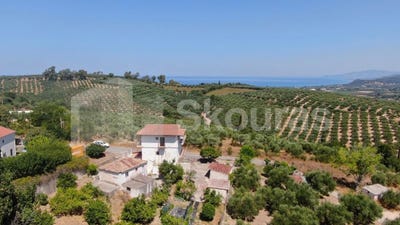 /international/gr/raches-peloponnese-western-greece-and-ionian-310101187492/?lang=it