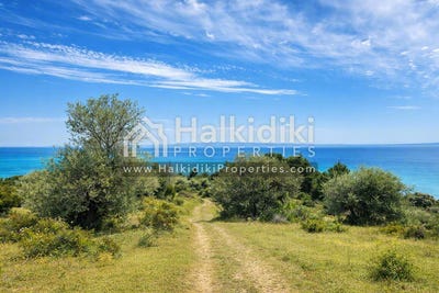 /international/gr/vatopedi-macedonia-thrace-310108871153/