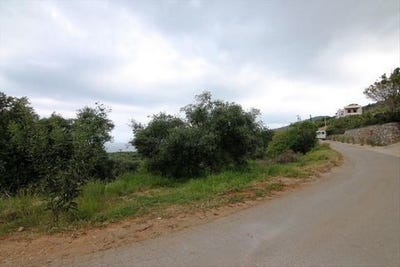 /international/gr/neapoli-crete-310103788411/