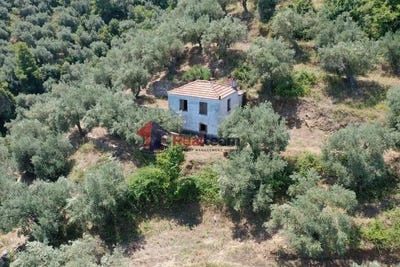 /international/gr/skopelos-thessaly-central-greece-310100829724/