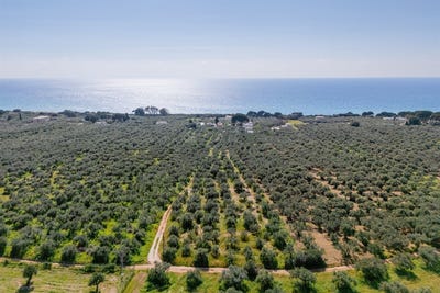 /international/gr/gargaliani-peloponnese-western-greece-and-ionian-310107025979/