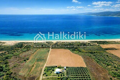/international/gr/sarti-macedonia-thrace-310108870836/