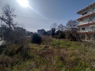 /international/gr/thermaikos-macedonia-thrace-310103786218/