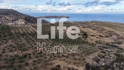 /international/gr/panagia-faneromenis-crete-310108526763/