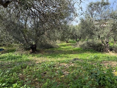 /international/gr/stalos-crete-310105915947/