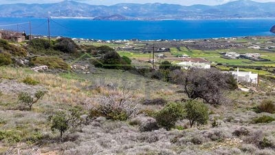 /international/gr/kostos-aegean-310107026099/
