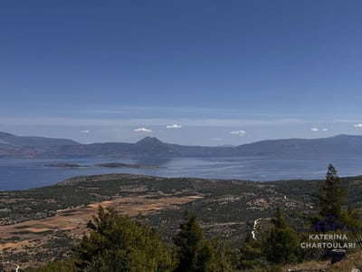 /international/gr/pisia-peloponnese-western-greece-and-ionian-310099629234/