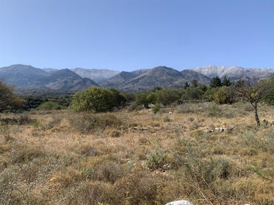 /international/gr/kalyves-crete-120092796631/