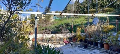/international/gr/kipseli-attica-310103787475/