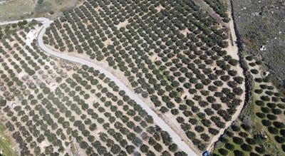 /international/gr/makrigialos-crete-310105993760/