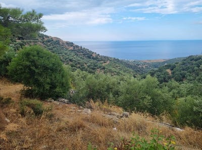 /international/gr/agios-nikolaos-crete-310105813072/