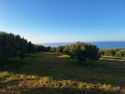 /international/gr/agios-nikolaos-thessaly-central-greece-310103803089/