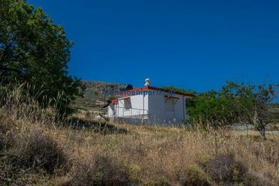 /international/gr/crete-crete-310108247564/