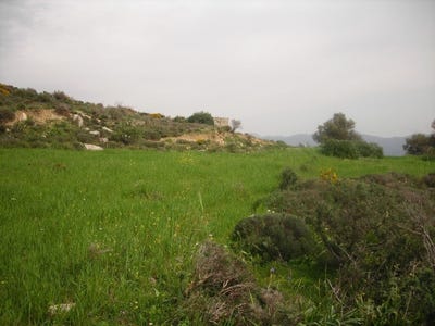 /international/gr/plouti-crete-310106781131/