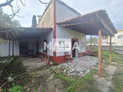 /international/gr/kopsocheilades-corfu-peloponnese-western-greece-and-ionian-310108833154/?lang=zh-tw