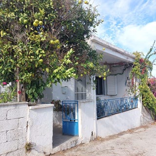 /international/gr/sykia-crete-310098724804/