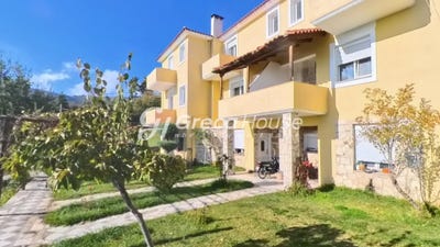 /international/gr/drymona-thessaly-and-central-greece-310108407514/