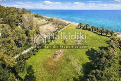 /international/gr/kassandra-macedonia-thrace-310108870711/