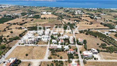/international/gr/zipari-aegean-310101571404/