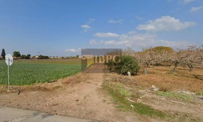 /international/gr/kampos-oropou-attica-310100606029/
