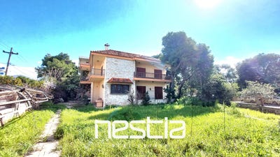 /international/gr/kifissia-attica-region-310109147419/?lang=it
