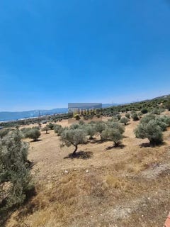 /international/gr/korinthos-peloponnese-western-greece-and-ionian-310100607067/