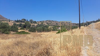 /international/gr/koropi-attica-region-310101468755/?lang=de