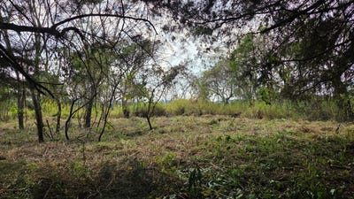 /international/gt/km-23-5-carretera-a-el-salvador-condominio-casa-y-campo-fraijanes-guatemala-road-to-el-salvador-guatemala-road-to-el-salvador-guatemala-city-310107449237/