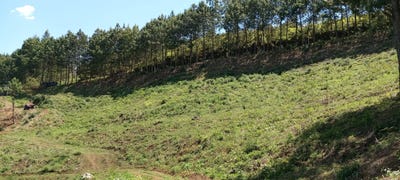 /international/gt/km-216-carretera-a-carcha-alta-verapaz-coban-alta-verapaz-coban-alta-verapaz-department-310106780001/