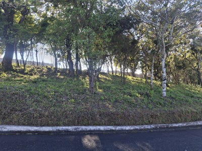 /international/gt/km-18-5-carretera-a-el-salvador-condominio-altos-de-san-vicente-santa-catarina-pinula-a-media-cuadra-del-colegio-king-david-santa-catarina-pinula-guatemala-santa-catarina-pinula-guatemala-city-310107565379/