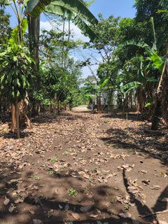 /international/gt/san-jose-el-tablon-villa-canales-san-jose-el-tablon-guatemala-san-jose-el-tablon-guatemala-city-310100938748/