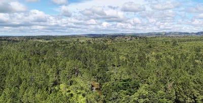/international/gt/cerca-al-aldea-las-lajas-a-30-minutos-de-poptun-municipalidad-de-poptun-poptun-peten-poptun-peten-department-310105913038/