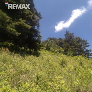 /international/gt/residencial-los-clavales-san-jose-pinula-san-jose-pinula-guatemala-san-jose-pinula-guatemala-city-310101110685/?lang=zh-cn