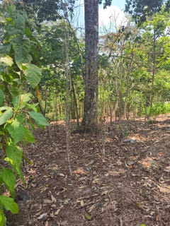 /international/gt/ubicado-en-san-jose-el-tablon-villa-canales-guatemala-san-jose-el-tablon-guatemala-san-jose-el-tablon-guatemala-city-310100938691/