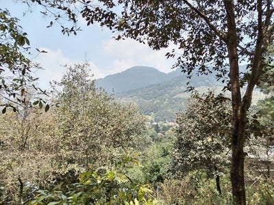/international/gt/6106-santa-lucia-milpas-altas-santa-lucia-milpas-altas-sacatepequez-santa-lucia-milpas-altas-sacatepequez-department-310104963828/