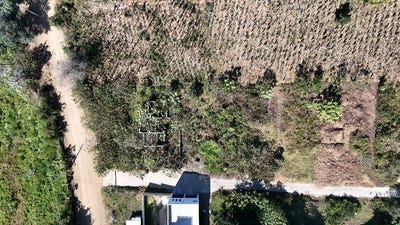 /international/gt/lotificacion-la-colina-santa-maria-cauque-santiago-sacatepequez-santiago-sacatepequez-sacatepequez-santiago-sacatepequez-sacatepequez-department-310106017739/