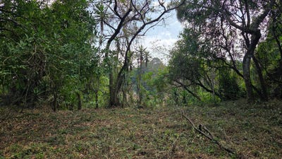 /international/gt/km-23-5-carretera-a-el-salvador-condominio-casa-y-campo-fraijanes-guatemala-road-to-el-salvador-guatemala-road-to-el-salvador-guatemala-city-310107449245/